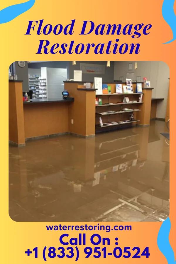 Flood Damage Restoration in Henderson, MN