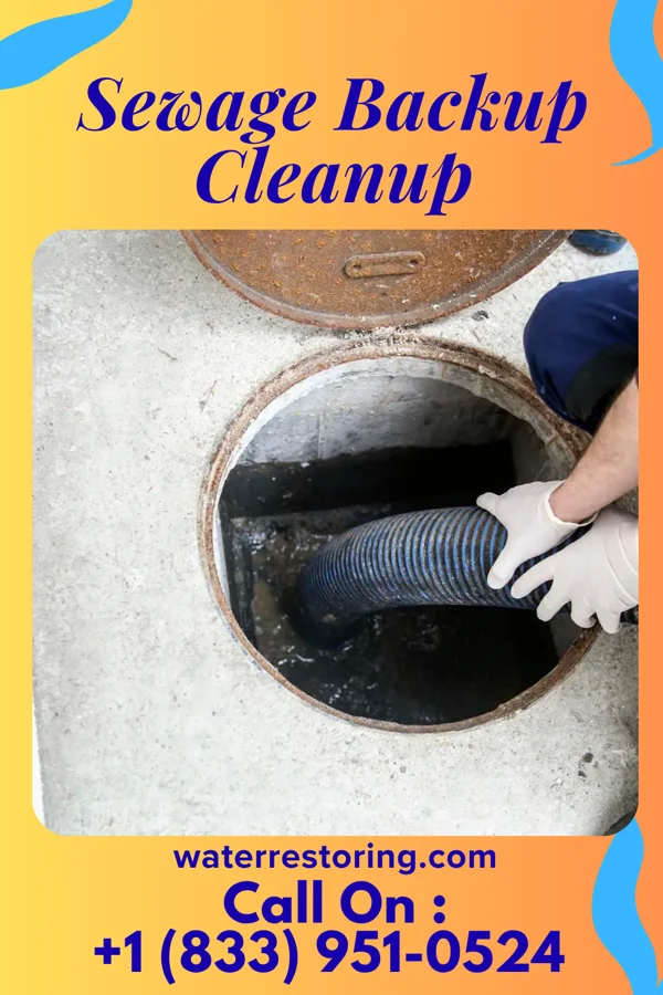 Sewage Backup Cleanup in Henderson, MN